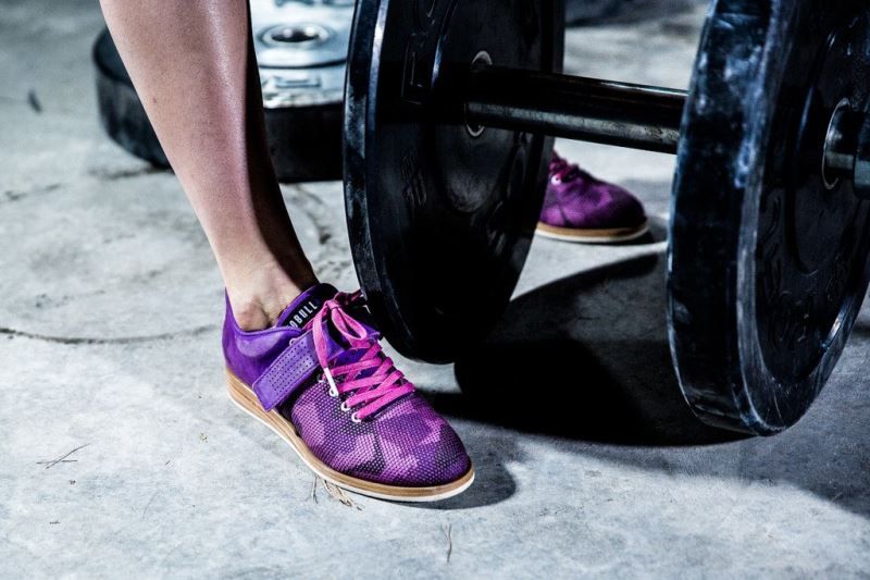 Purple Nobull Lifter | 58162-ESXJ